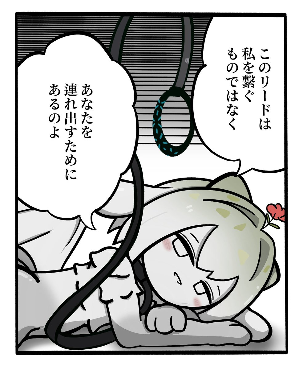 MJ_MangoJuice's tweet photo. https://t.co/dNn7EuIX46