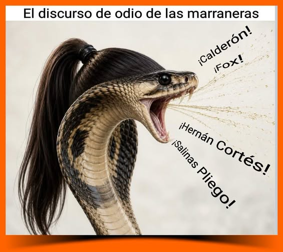 GARCIPAVON's tweet photo. Los discursos diarios desde la marrañera de la 🦎😏