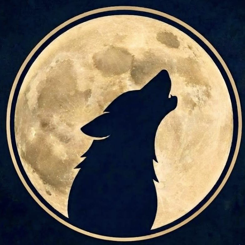 FullMoon🌕 tweet media