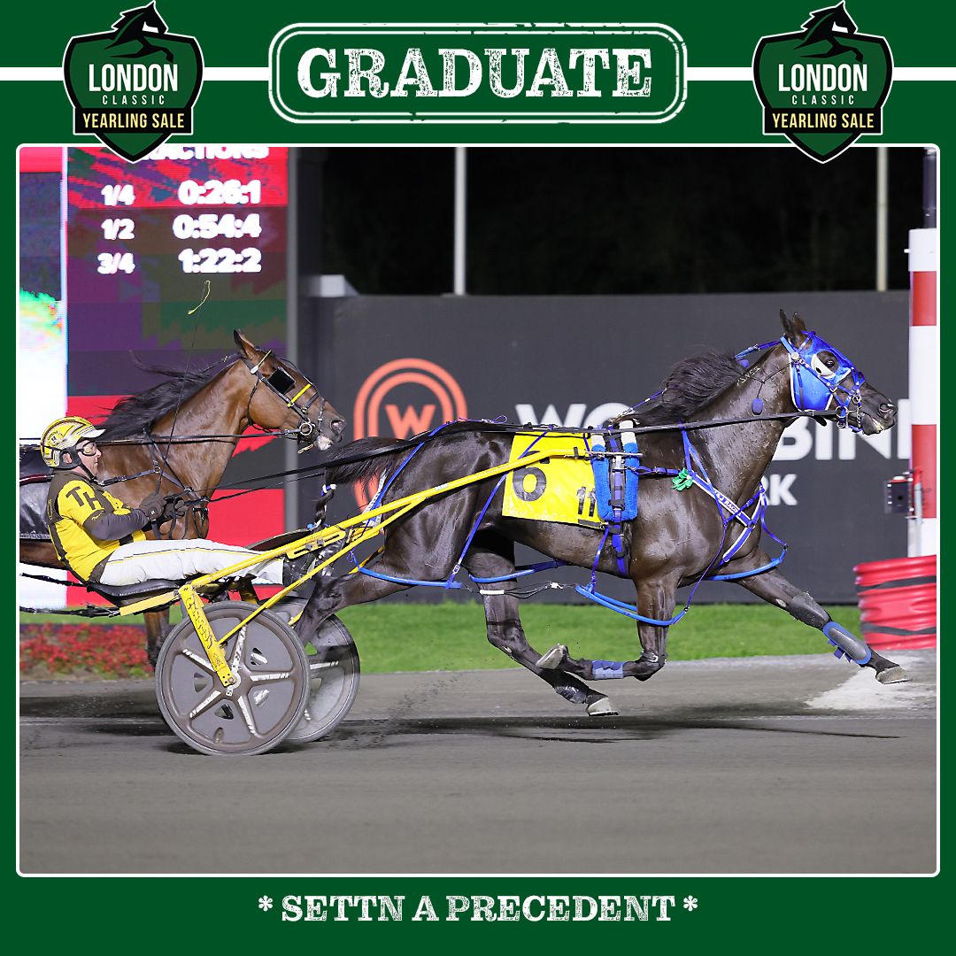 woodbinephotos tweet picture