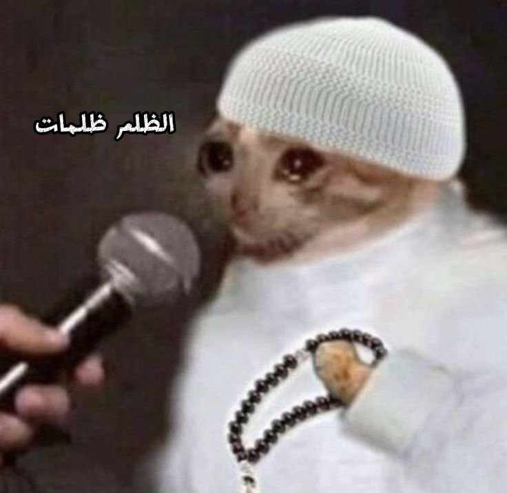 TEK || حمزة tweet media