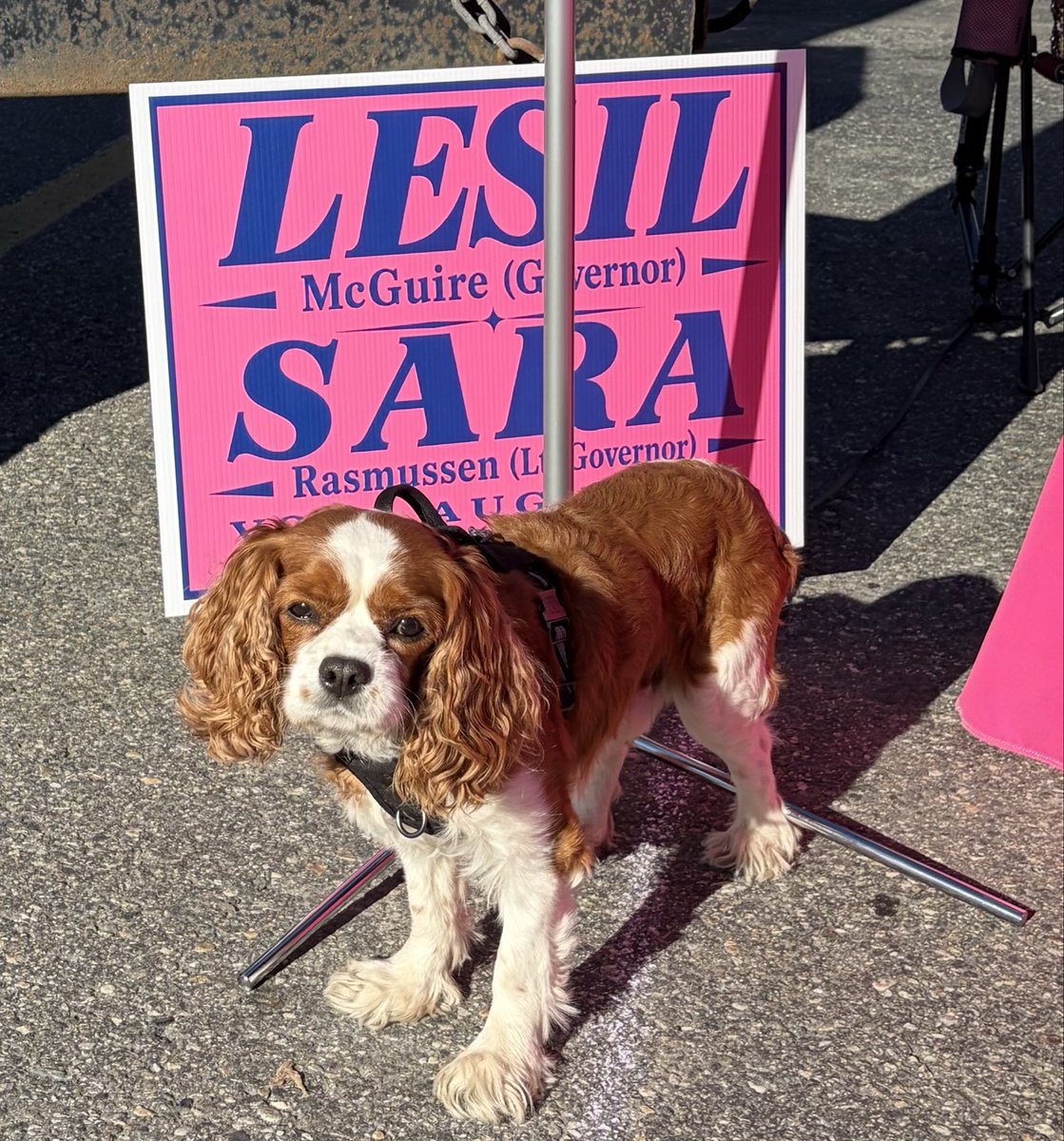 Lesil4gov's tweet photo. ✨ All set up at Golden Days! ✨

Stop by the McGuire &amp; Rasmussen booth to:
💬 Say hello.
👂 Share your ideas and concerns.
🤝 Talk about the future of Alaska.

Rubin's here as well!! 🐶

#GoldenDays2026 #Fairbanks #LeadershipThatListens #ElevateAlaska #McGuireRasmussen #AKGov https://t.co/hjybPb3qdl