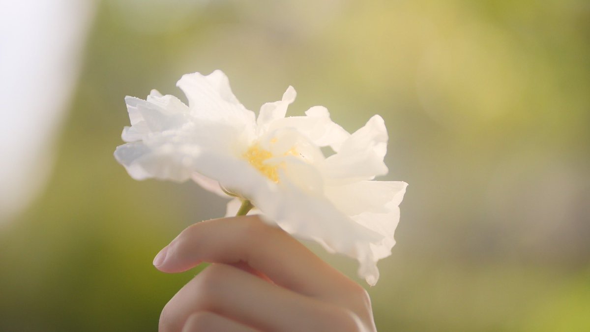 111write's tweet photo. #อรุณรุ่งEP6  เอาจริงเรื่องนี้ปบลดล็อคสกิลตัวเองเหมือนกัน จากงานที่ผ่านมา  ไม่คิดว่าจะเขียนเรื่องที่ตัวละครมันไดรฟ์ด้วยเลิฟขนาดนี้ได้ https://t.co/G3JZmj9oxa