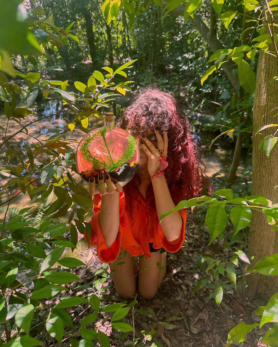 ehlloart's tweet photo. Koidown Aquatic🌿🎏🫧 https://t.co/3xUUaSsct6