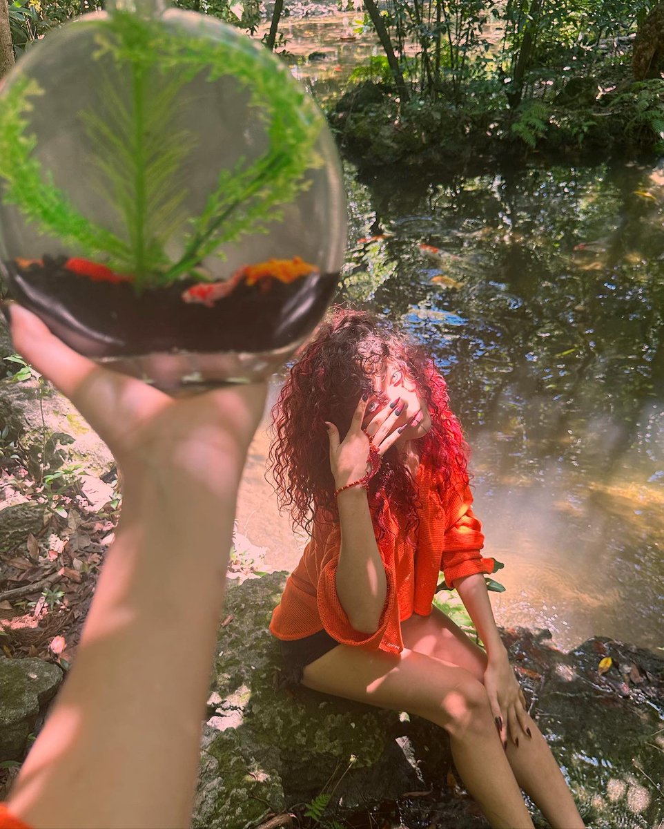 ehlloart's tweet photo. Koidown Aquatic🌿🎏🫧 https://t.co/3xUUaSsct6