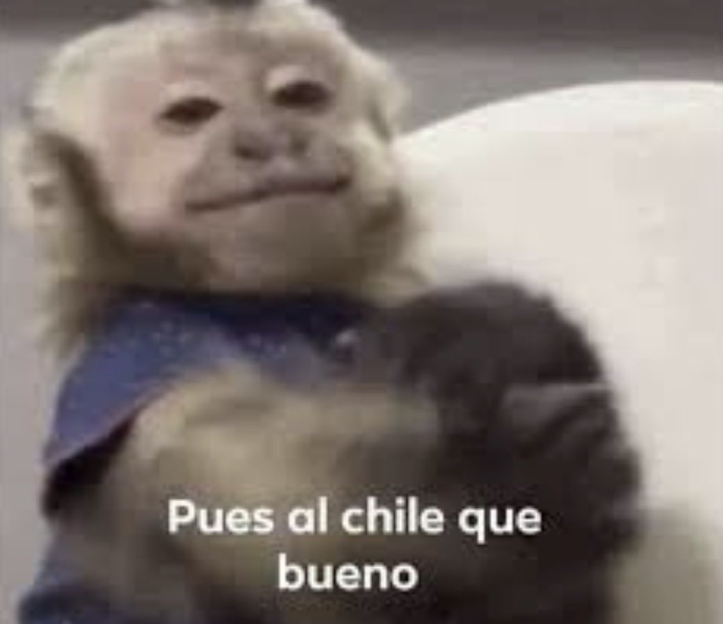 ChristJandel's tweet photo. Yo viendo como decían todo el año que deberíamos dejar de ver la velada del año /// yo hoy 
#LaVeladaDelAñoVI #LaVeladaDelAño6 https://t.co/aQXWk7vyoI