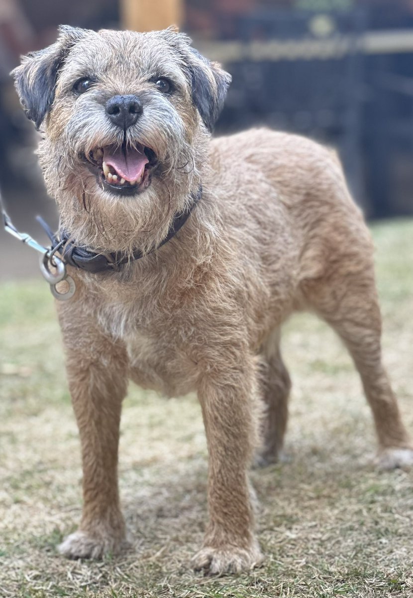 Riley_roo888's tweet photo. Bit cooler today and even had a spot of rain (literally a spot 🙄 we need more). Let’s all do a rain dance pals 😬 #BTPosse #WeNeedRain https://t.co/WNCWPF8lAX