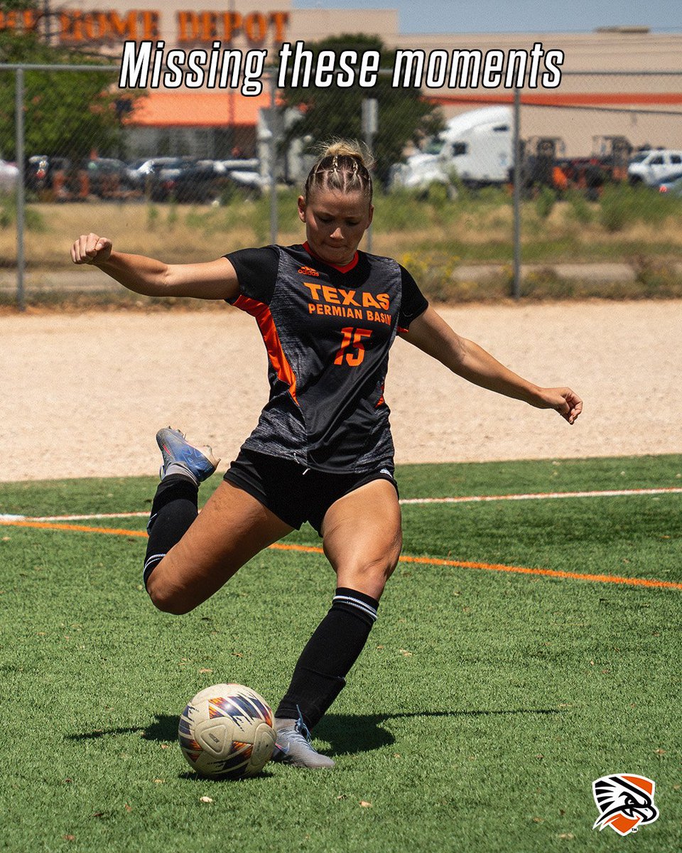 utpbfalcons's tweet photo. Counting down the days until we're back where we belong. #MissingTheseMoments https://t.co/lE83YI5nV2