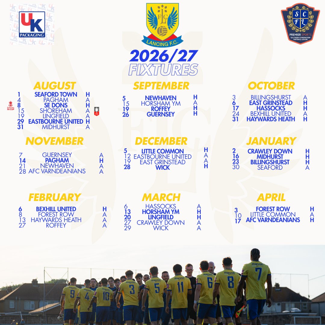 Lancing FC tweet media
