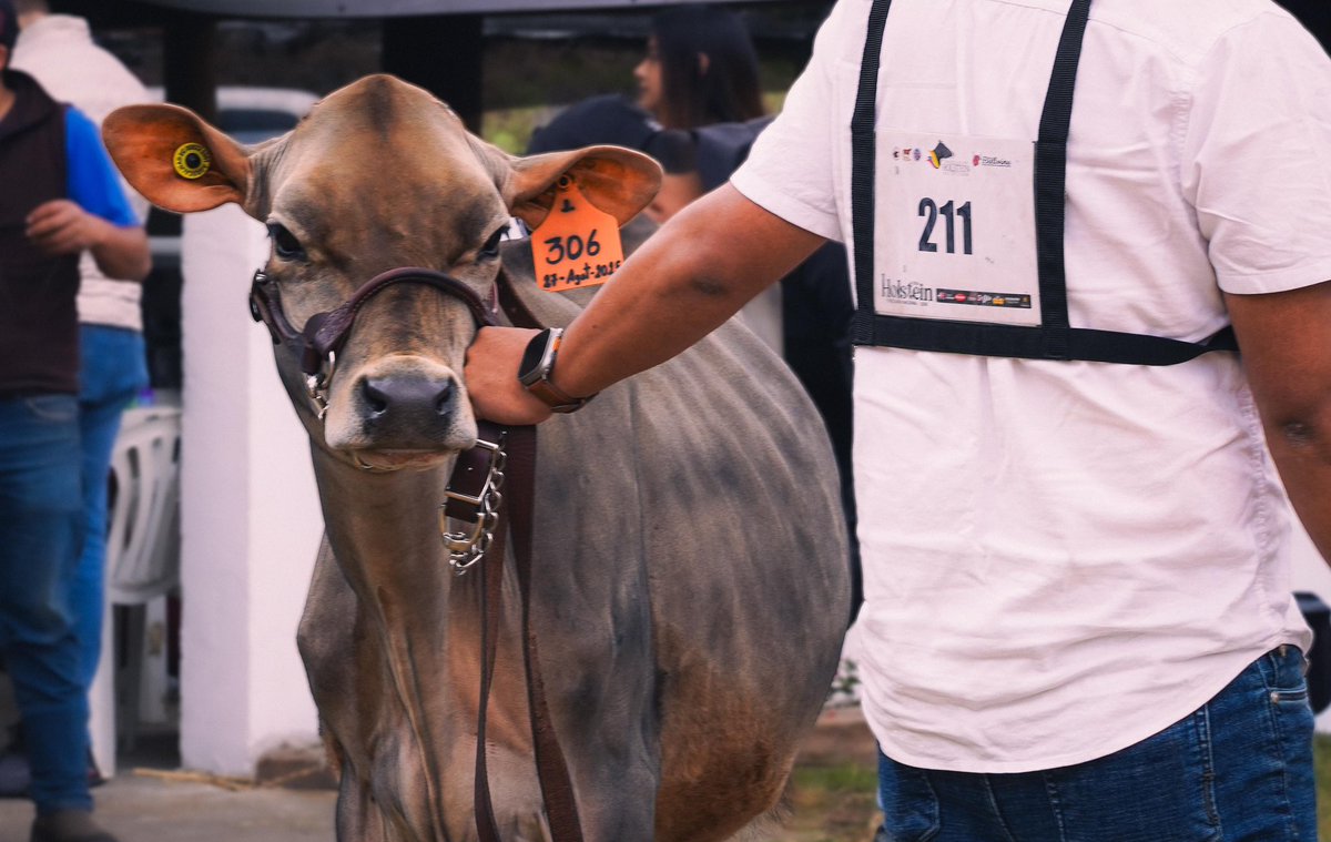 BanEcuadorBP's tweet photo. #BanEcuador participa en la LXXIV Feria Holstein y LXXI Pecuaria Nacional, un espacio para conectar con el sector productivo y acercar nuestras soluciones financieras a quienes impulsan el desarrollo agropecuario del país.

Asiste y descubre lo que tenemos para ti. https://t.co/cPxtQsIeP4