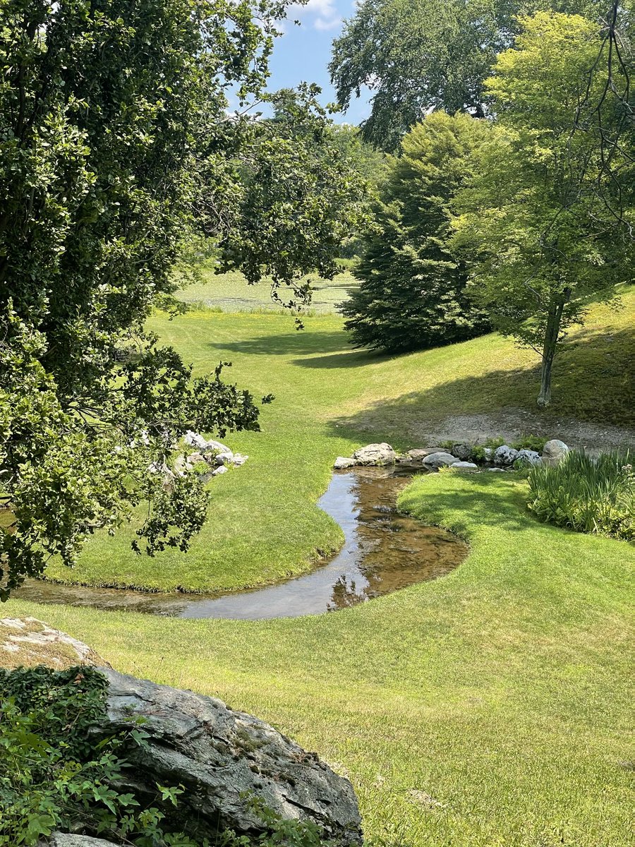 sweetgreenguava's tweet photo. visited my favorite garden today 🪷🌳 https://t.co/Wd1SSr2Y9Y