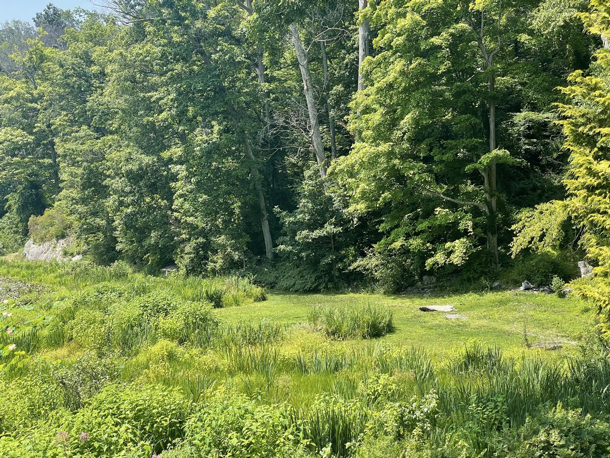 sweetgreenguava's tweet photo. visited my favorite garden today 🪷🌳 https://t.co/Wd1SSr2Y9Y