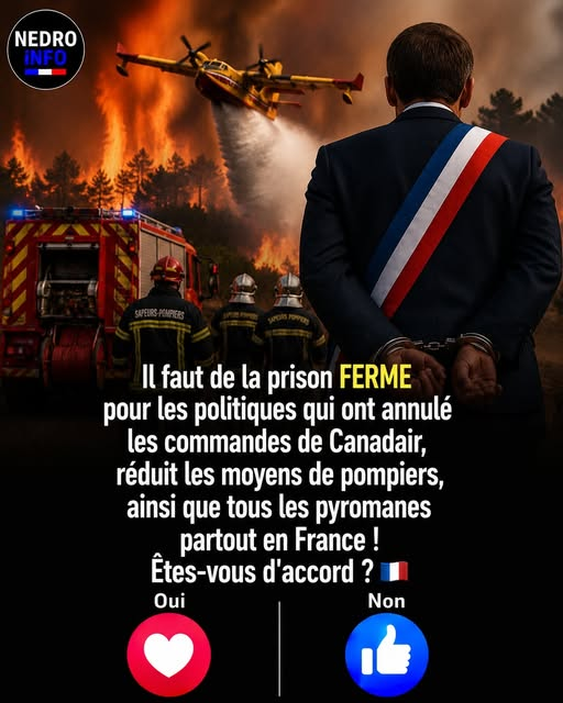 CoppenolleDavid's tweet photo. @EmmanuelMacron et @GabrielAttal   à décommander les achats de canadairs  ils sont coupable de meurtre avec préméditation comme avec le covid 19 , l'agriculture , https://t.co/nYh6Q8TBnd