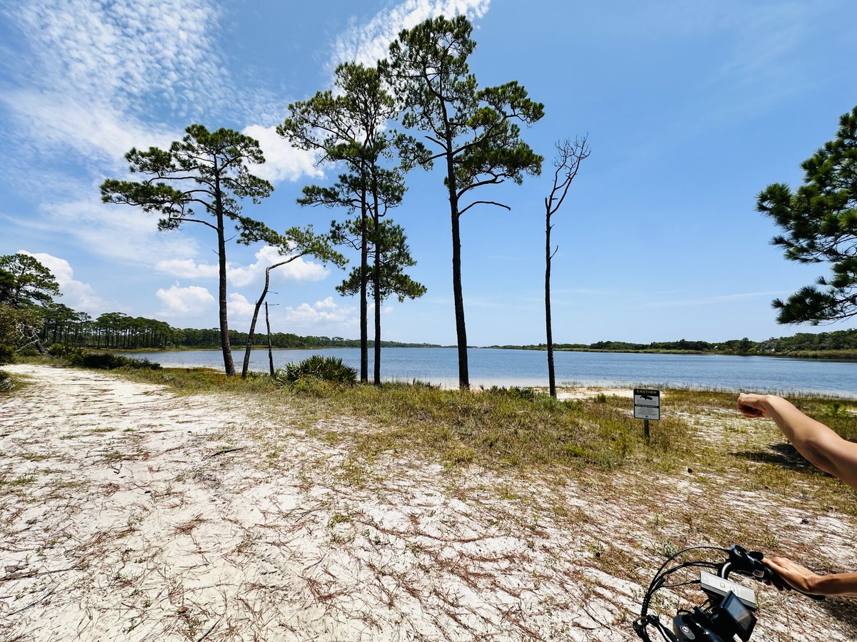 ThatDataGuy007's tweet photo. Nearby Florida State Park

95 degrees but gorgeous!

Big gator in that lake! 14 footer! https://t.co/X8kjnm44Xv