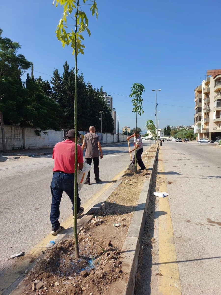 Mina_muni's tweet photo. قامت اللجنة البيئية في بلدية الميناء، صباح اليوم، بتنفيذ حملة لتشجير الوسطيات في الشارع المحيط بملعب بلدية الميناء، وذلك في إطار جهودها الرامية إلى تعزيز المساحات الخضراء وتحسين المشهد الحضري في المدينة. https://t.co/N7aXicGqpa