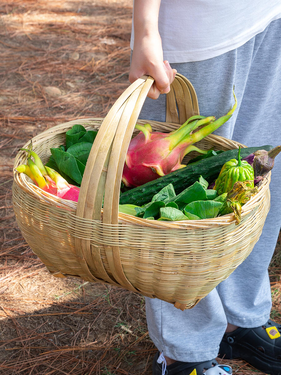 Anicaela1's tweet photo. Fresh organic seasonal veggies in stock! Grab local tomatoes, baby spinach u0026 zucchinis for your weeknight meals—no extra additives, just pure farm goodness. Shop now before they’re gone!， https://t.co/5alIKoMHa9