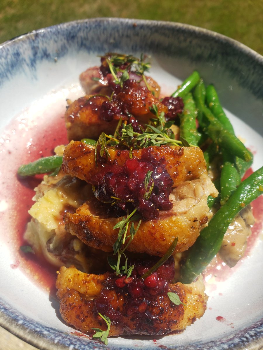 jadethetrapper's tweet photo. I made duck with a blackberry sauce. https://t.co/C9hImfDUT5