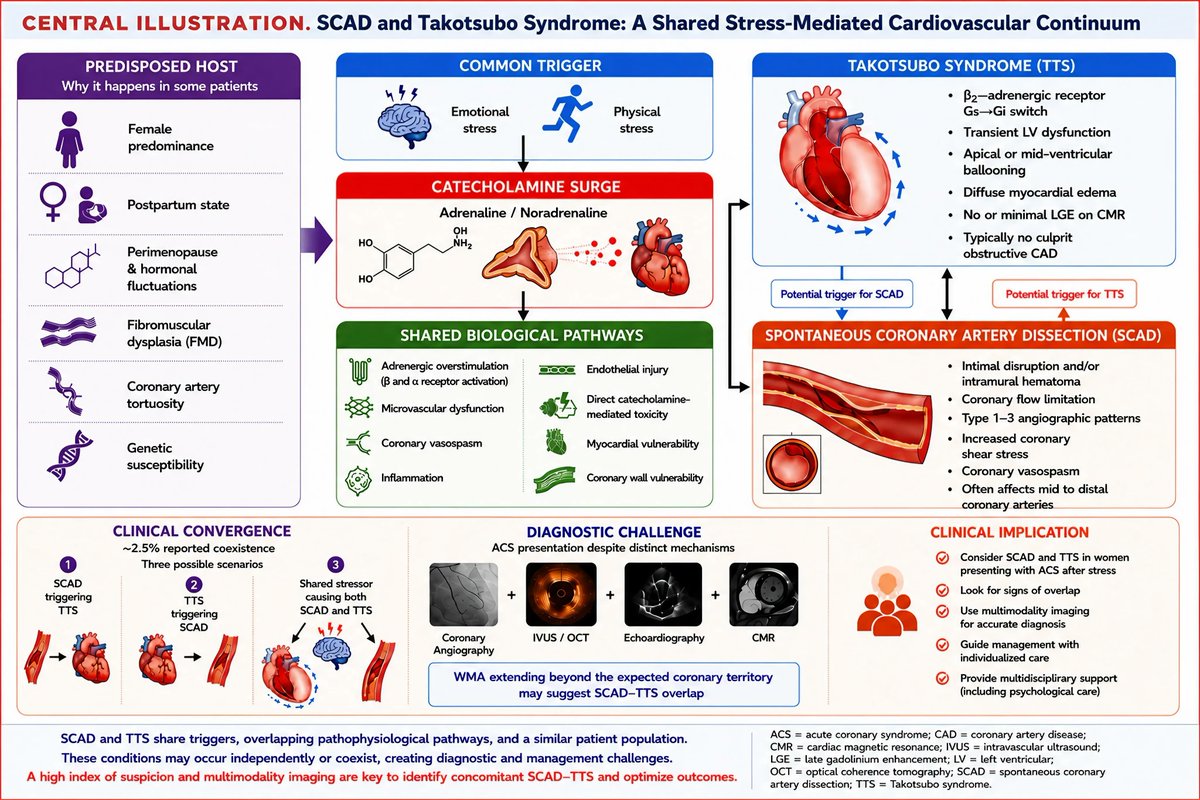micheleg1390's tweet photo. We didn't just connect the dots between SCAD and Takotsubo. 
We drew the map! A new stepwise diagnostic algorithm to navigate one of the most challenging diagnostic crossroads in cardiology.
@marchetta97560 @AbbateAntonio @joshep_r @ggvela @CristinaFontMD @ufjaxcards @JCM_MDPI https://t.co/qg0saLsnRx