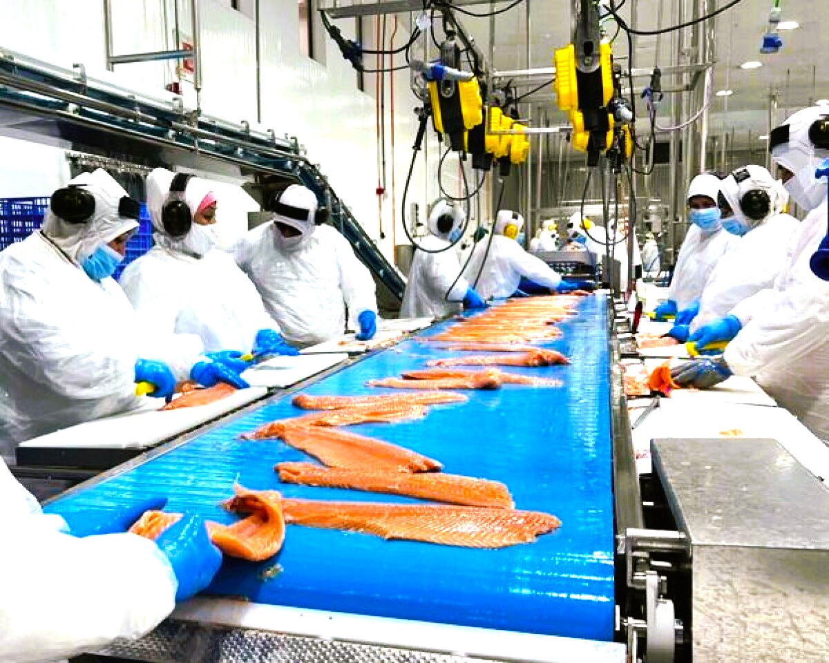 ccu_federacion's tweet photo. Chile. «La oferta final de la empresa fue paupérrima»: Trabajadores salmoneros de Nova Austral se van a huelga https://t.co/D4dLd1dbQB https://t.co/73dKx8la28