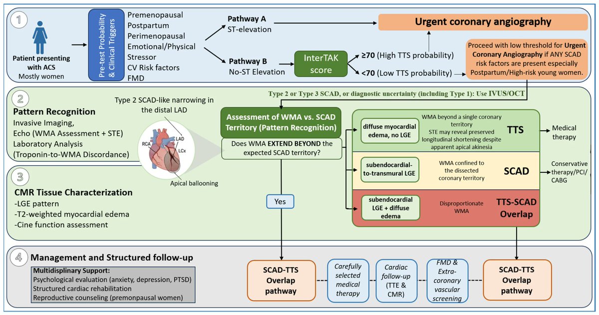 micheleg1390's tweet photo. We didn't just connect the dots between SCAD and Takotsubo. 
We drew the map! A new stepwise diagnostic algorithm to navigate one of the most challenging diagnostic crossroads in cardiology.
@marchetta97560 @AbbateAntonio @joshep_r @ggvela @CristinaFontMD @ufjaxcards @JCM_MDPI https://t.co/qg0saLsnRx