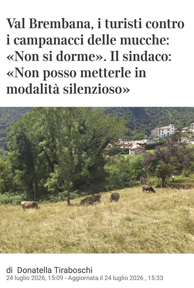 Libero755575300's tweet photo. SIAMO ALL FOLLIA 

TURISTI CHE SCELGONO LA MONTAGNA E SI LAMENTANO PER I CAMPANACCI DELLE MUCCHE 

🤣🤣🤣🤣 https://t.co/degSlNknHy