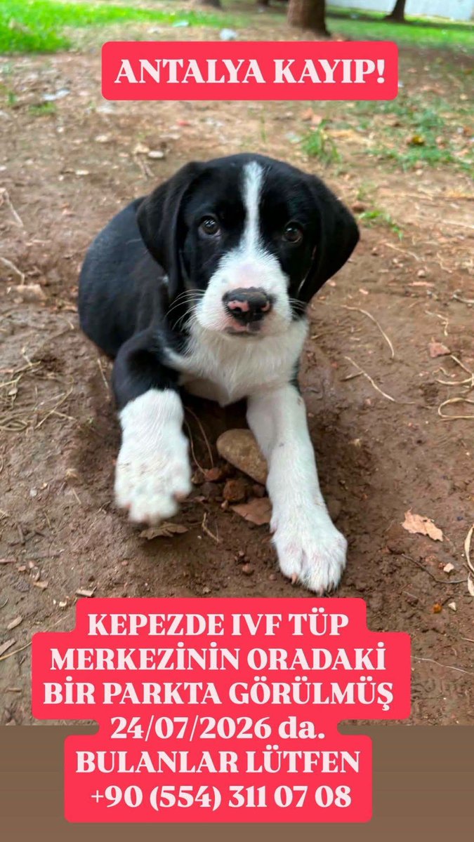 zllktlr's tweet photo. "Antalya kayıp  https://t.co/q37jYZdggW https://t.co/RKWQSthoFW