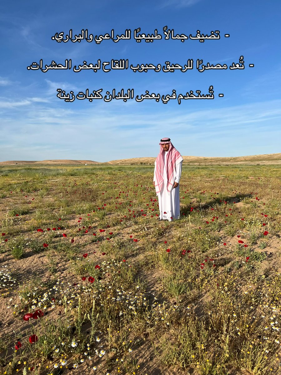 kw_089's tweet photo. https://t.co/sJuCpJmPQh