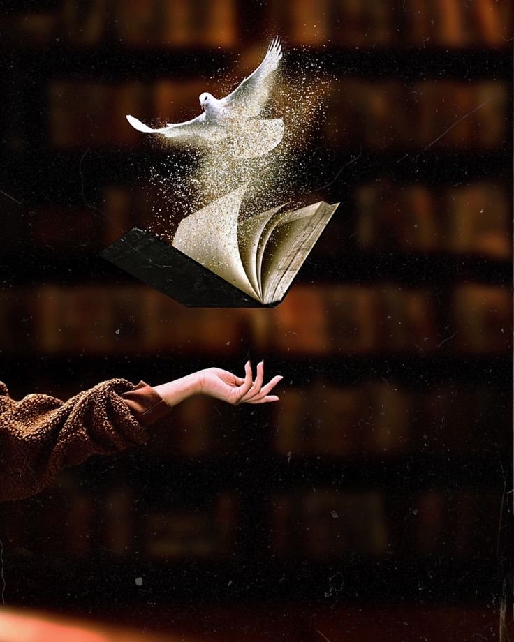 Stellagrace205's tweet photo. “Let knowledge be the wings that carry you beyond every cage.” 🕊️📖“Where books open, boundaries disappear.”#Freedom #Peace #Knowledge #Books https://t.co/gdPB3gausP