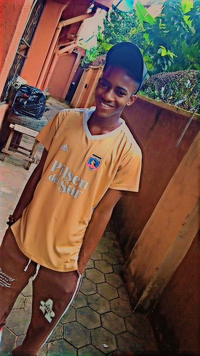 N̈orstin Brown tweet media