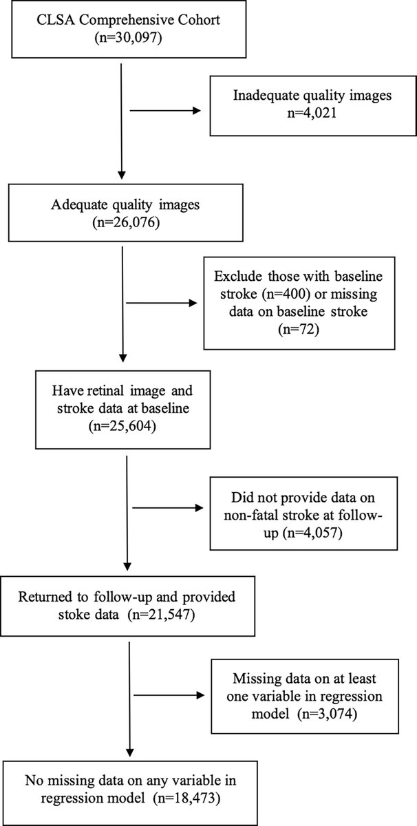 AAOjournal's tweet photo. Retinal Vessel Traits and the Risk of Stroke: The Canadian Longitudinal Study on Aging
https://t.co/trTGQ1PZBe 
@EllenFreemanLa1
#ophthalmology https://t.co/F3hAJZtMTb