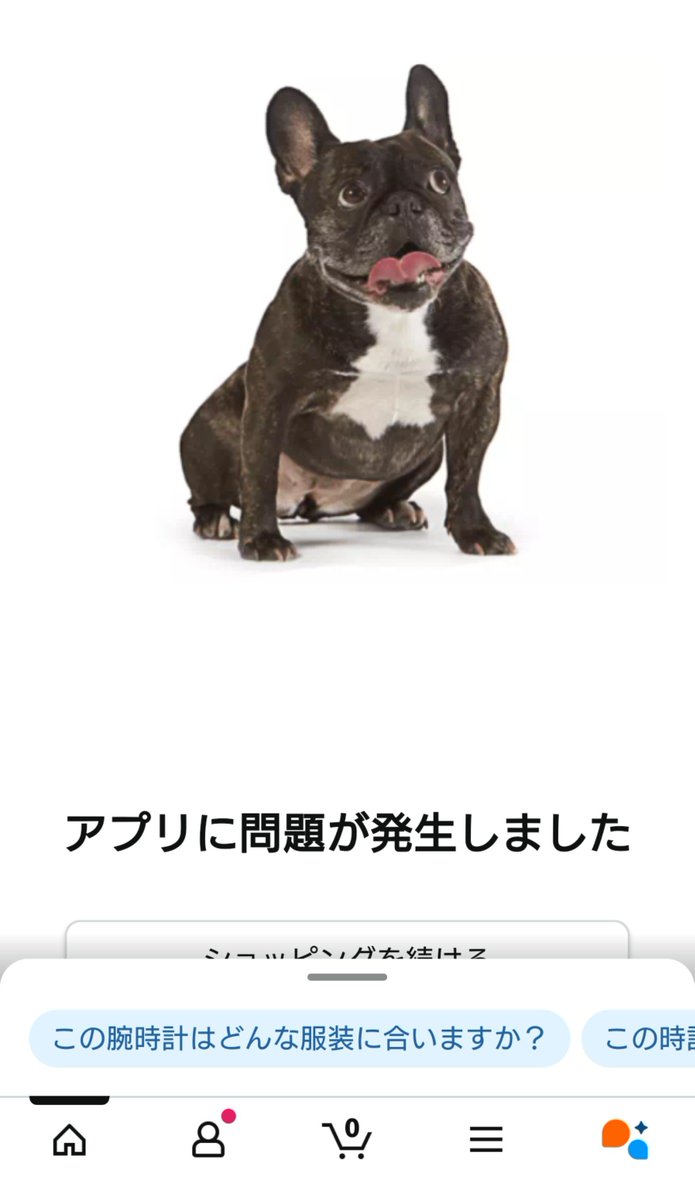 naechansan's tweet photo. 誠意を見せろ https://t.co/8xrKbUlsys