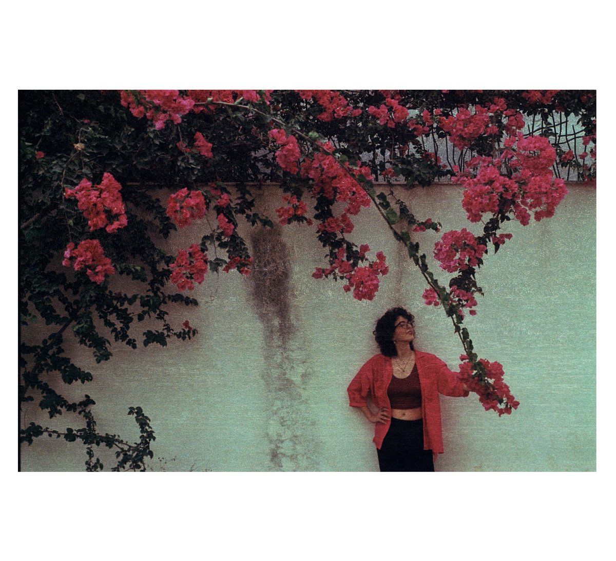 aligh718's tweet photo. Nikon EM
Kodak gold 200 https://t.co/vPOrxCJHq6