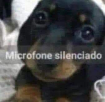 ouo_sn's tweet photo. @npomvtt Isso ai é papo de raspar e começar a usar peruca e nunca mais encostar no descolorante https://t.co/JJVzT1MyqQ