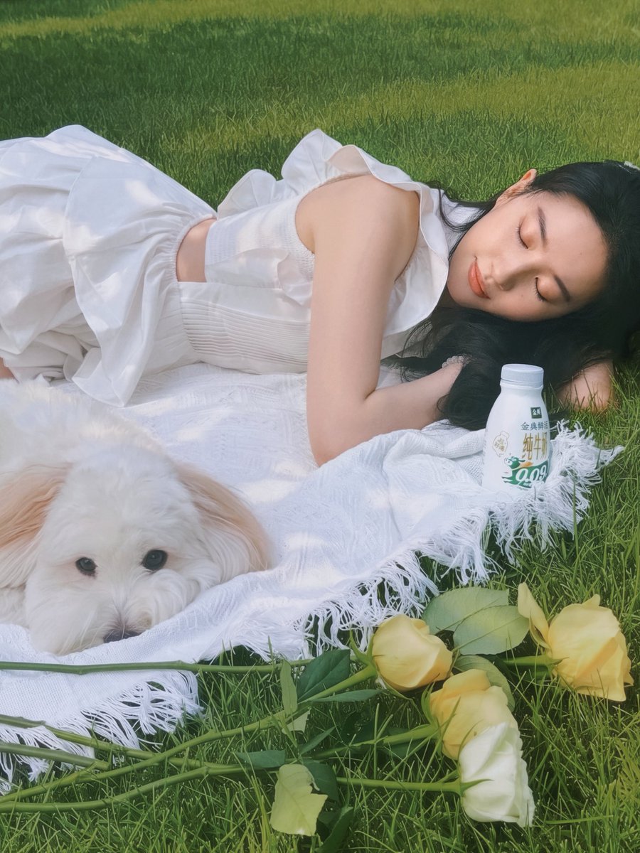 joyyyyside's tweet photo. Queen Liu Yifei @yifei_cc for Yili Satine
🤍💛💚
#LiuYifei #刘亦菲 #劉亦菲 #CrystalLiu #LưuDiệcPhi #หลิวอี้เฟย #ЛюИфэй #유역비 #リウ・イーフェイ #YifeiLiu #Mulan #花木兰 #玫瑰的故事 #去有风的地方 #梦华录 #ADreamOfSplendor #MeetYourself #金典 #TheTaleOfRose #Yili #Satine #伊利 https://t.co/MzPmVB8dxS