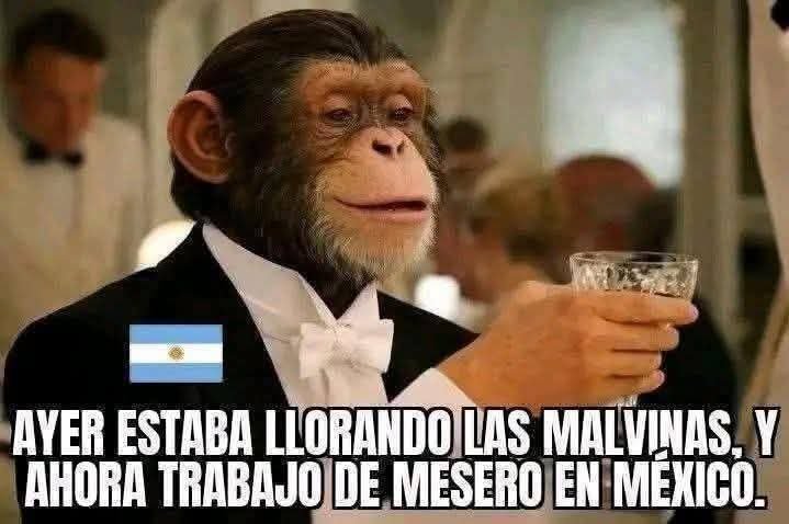 Ernesto Checa tweet media
