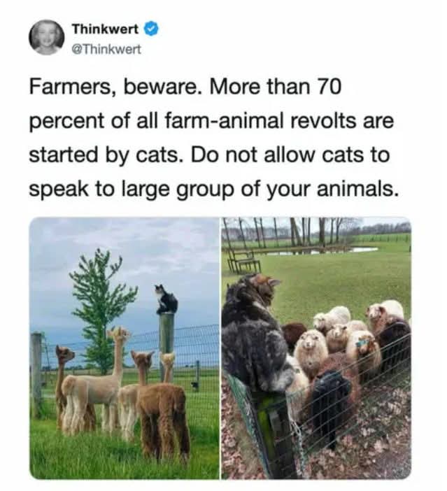 BETHANY🧘♂️ tweet media