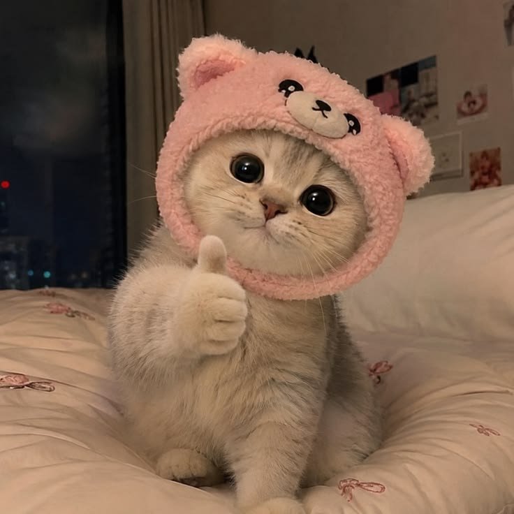 nekocatts's tweet photo. Thumbs up 👍 https://t.co/HlXMsDfzja