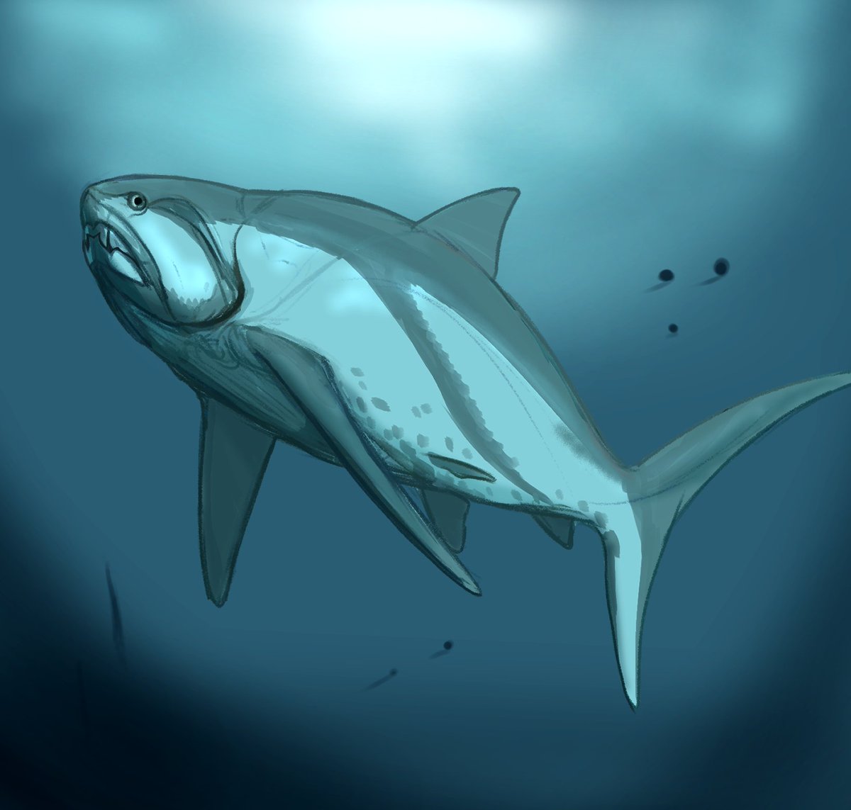 Tupandactyl's tweet photo. Dunkleosteus still have infinite aura https://t.co/b21rUP9w9f