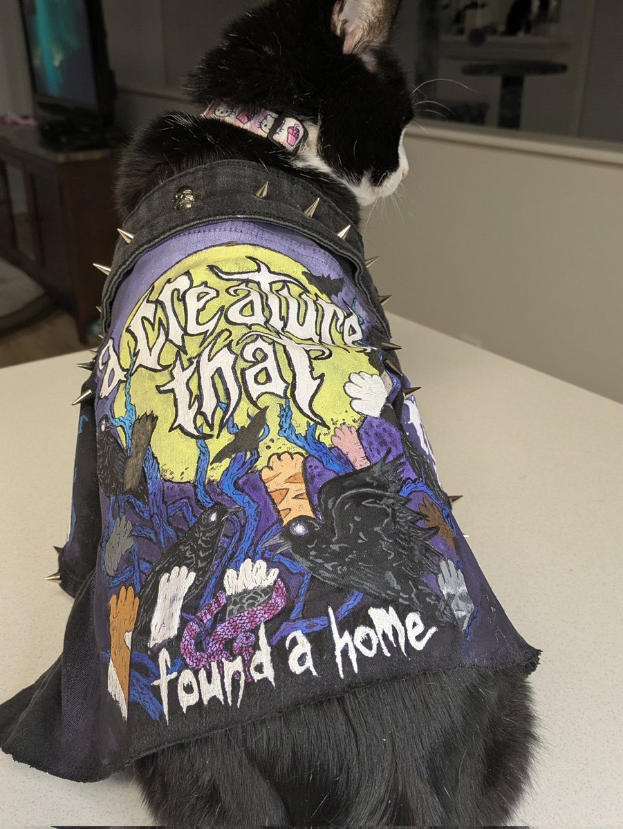 hxneybvt's tweet photo. 2 years I made the Werewolf jacket and now I made the creatures x Afraid of the Dark jacket 🖤🦇🐦‍⬛
.
.
@MIWband @rickyolsonx @chenzomauro @RyanMIW @justinxMIW @ChrisMotionless
.
.
#motionlessinwhite #decades #werewolf #afraidofthedarks https://t.co/cQgbMJXJvD