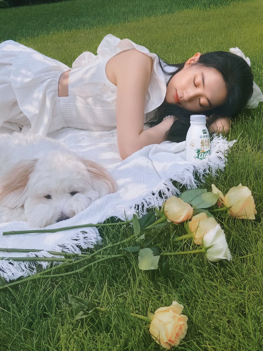 joyyyyside's tweet photo. Queen Liu Yifei @yifei_cc for Yili Satine
🤍💛💚
#LiuYifei #刘亦菲 #劉亦菲 #CrystalLiu #LưuDiệcPhi #หลิวอี้เฟย #ЛюИфэй #유역비 #リウ・イーフェイ #YifeiLiu #Mulan #花木兰 #玫瑰的故事 #去有风的地方 #梦华录 #ADreamOfSplendor #MeetYourself #金典 #TheTaleOfRose #Yili #Satine #伊利 https://t.co/ZTRu1NVeUv