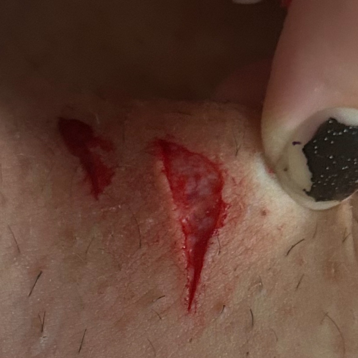 edb370156's tweet photo. @Meowcutie_0 recent sfx makeup i’ve done!! enhanced with ai https://t.co/aOuTEULVWM
