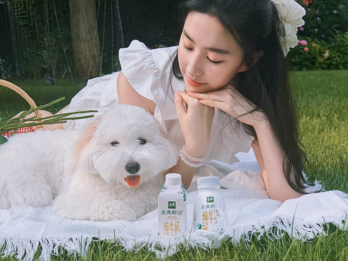 joyyyyside's tweet photo. Queen Liu Yifei @yifei_cc for Yili Satine
🤍💛💚
#LiuYifei #刘亦菲 #劉亦菲 #CrystalLiu #LưuDiệcPhi #หลิวอี้เฟย #ЛюИфэй #유역비 #リウ・イーフェイ #YifeiLiu #Mulan #花木兰 #玫瑰的故事 #去有风的地方 #梦华录 #ADreamOfSplendor #MeetYourself #金典 #TheTaleOfRose #Yili #Satine #伊利 https://t.co/vn5vYp4cBm