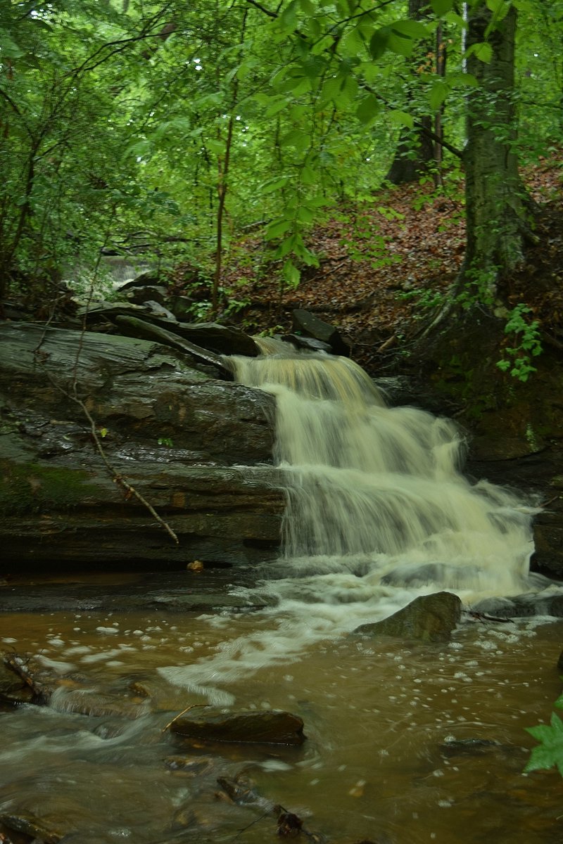 Waterfall_Hero's tweet photo. Rainy greenway magic 🌧️ Ephemeral waterfall on House Creek tributary after the storms. Worth every soggy mile! #RaleighGreenways #HouseCreekTrail #CrabtreeCreek #RaleighHikes #EphemeralFalls https://t.co/uTl3khGjJ0