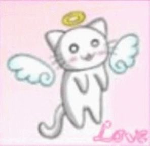 nyaspernet's tweet photo. @kzzrttt yes https://t.co/AIBdi51btD