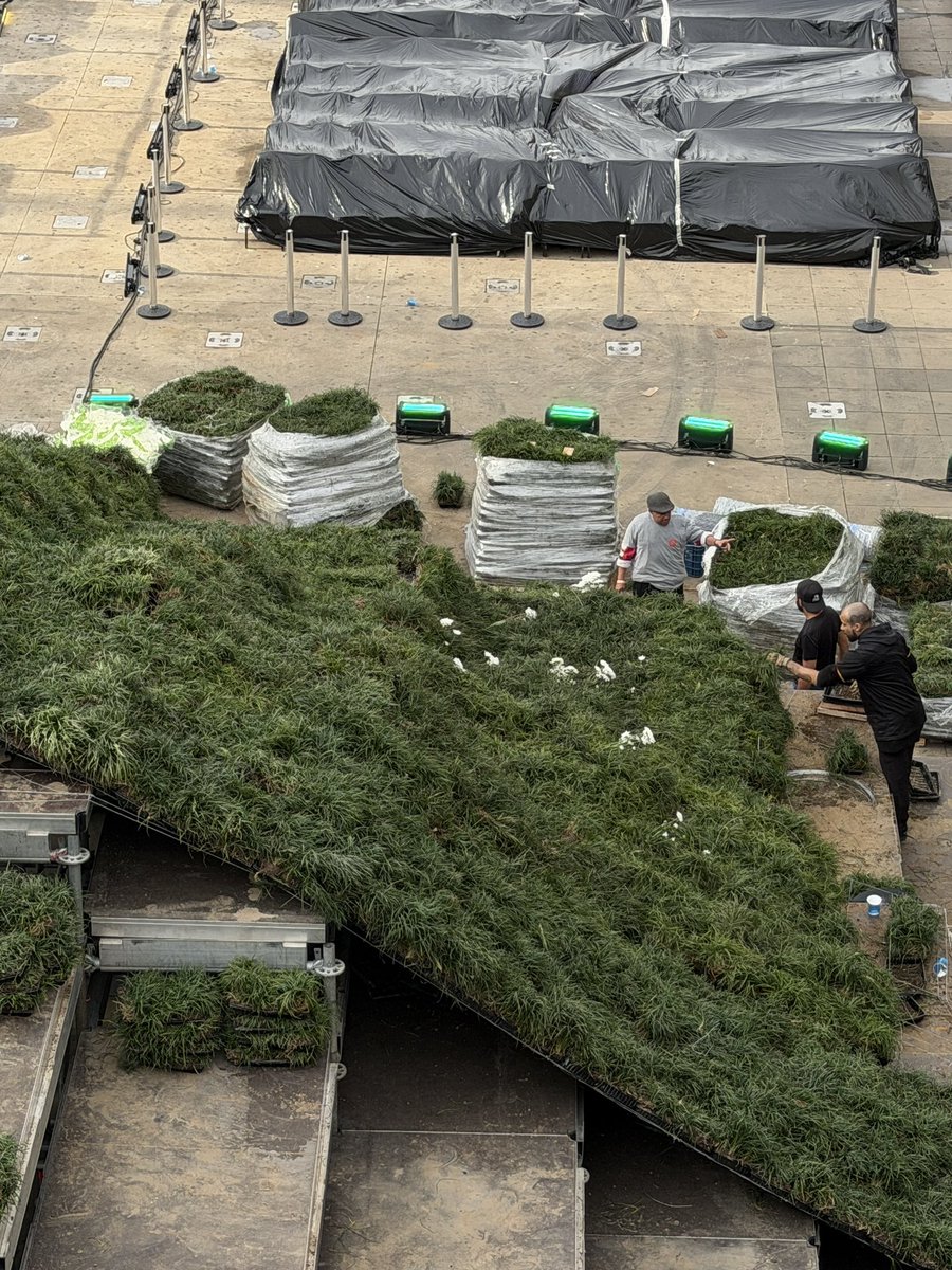 podlobers's tweet photo. Flores brancas estão sendo colocadas na estrutura da audição de Memórias Póstumas. https://t.co/MQ9vLbuzdd