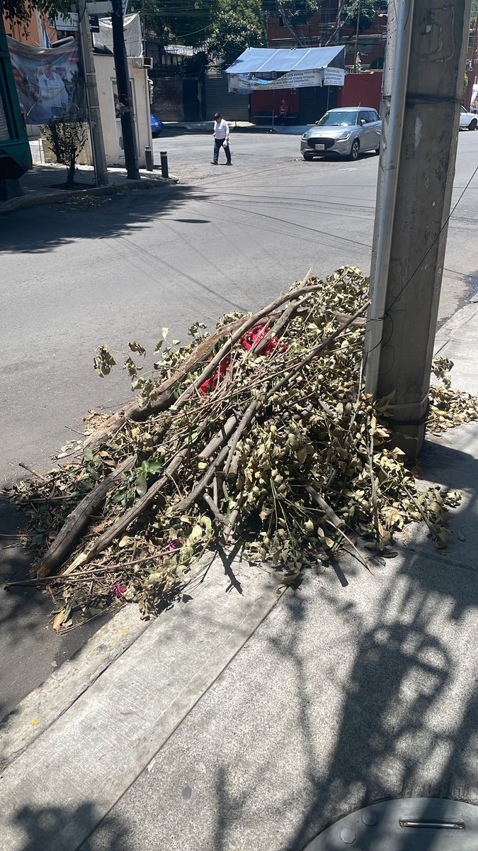 fer2b2e's tweet photo. Lo mismo en una calle paralela, Primero de Mayo 61. Se está convirtiendo en una constante que se piden árboles por situaciones de cables y se dejen las ramas sin recoger… https://t.co/Lq4jQvENWU