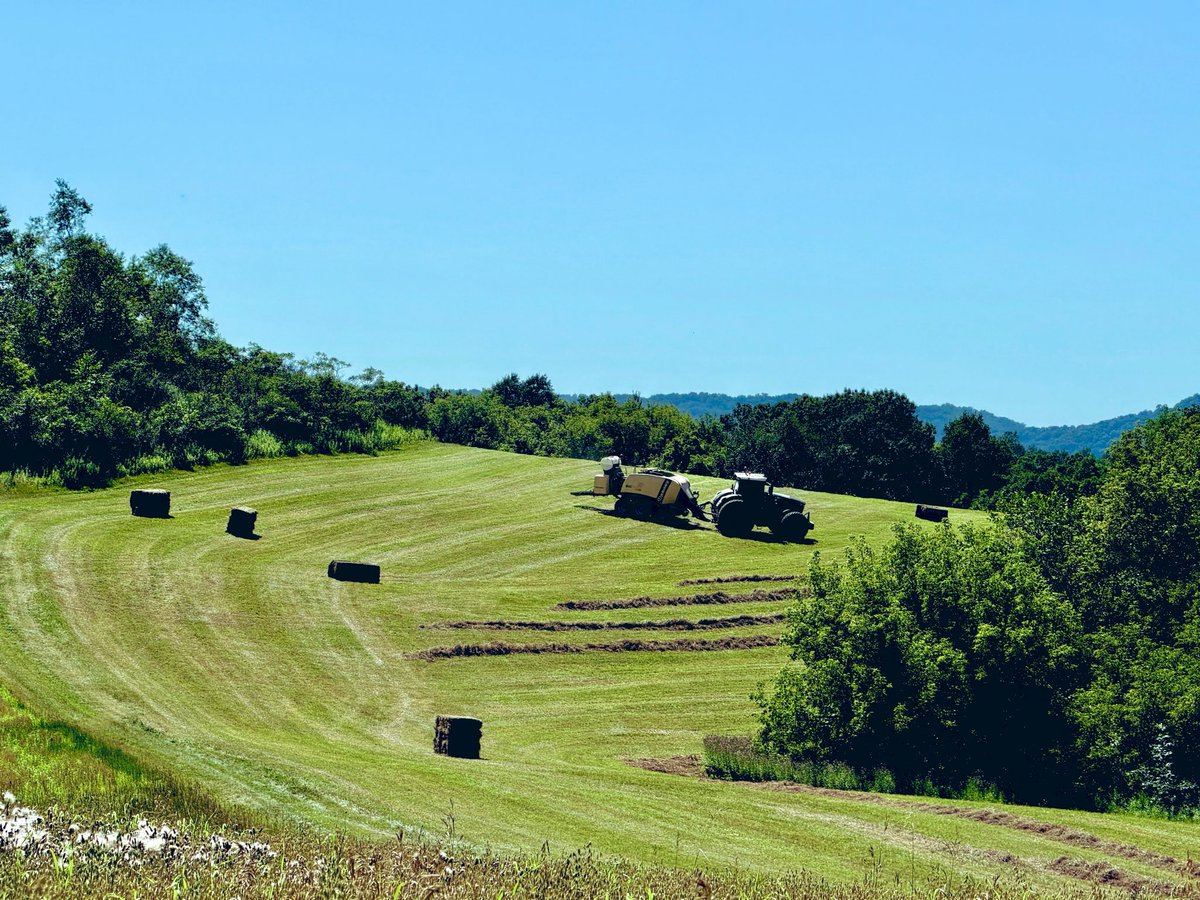 grainsmanesfarm's tweet photo. Haying in the hills. https://t.co/r3c84w7AHO