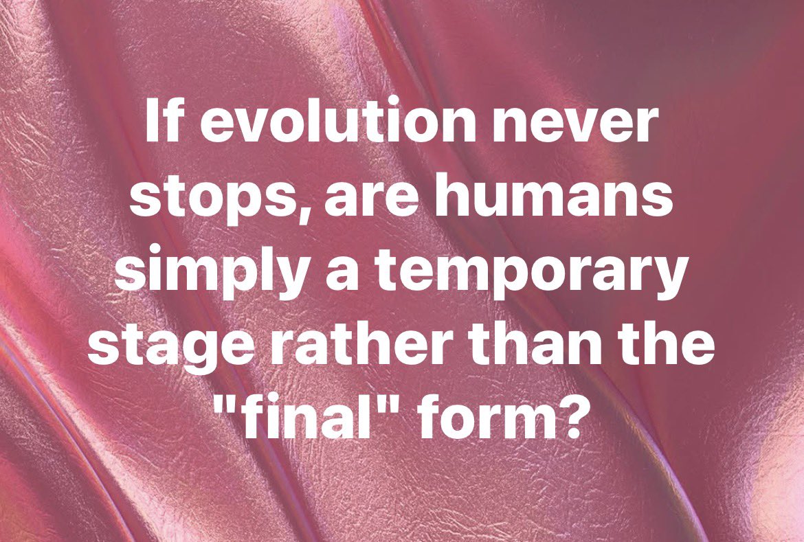 Not Evolution tweet media