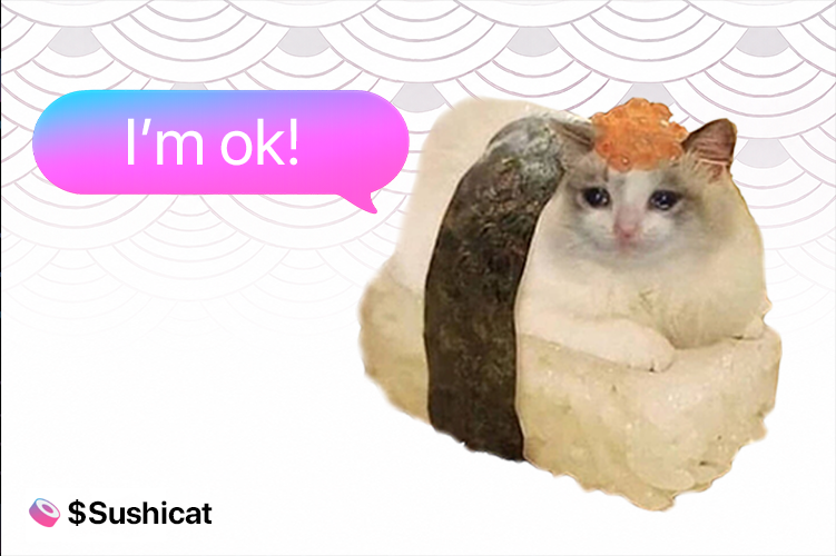 sushicatdev's tweet photo. good thing i have nine lives

$SUSHICAT https://t.co/GCnXPuQCym