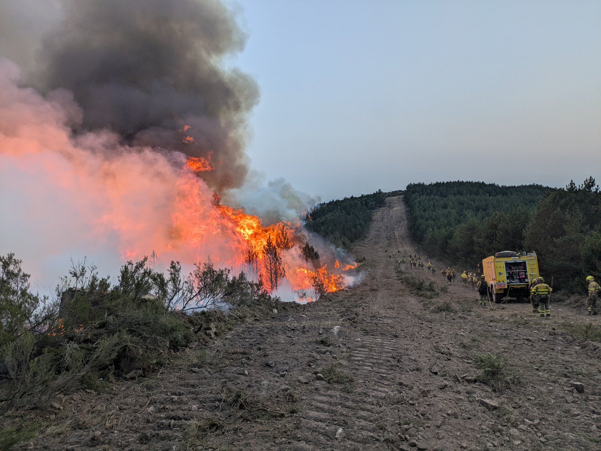 briftabuyo's tweet photo. 21:19🎥#IFMuriasDePonjos #LeónESP 

La brigada TP se retira del incendio a base.

La brigada TED estamos realizando quema ajustada a línea de control realizada por @EMIF_IIFF junto a medios de CyL y de @Xunta.

Somos #BRIF de @mitecogob https://t.co/VLBeS0qgKn
